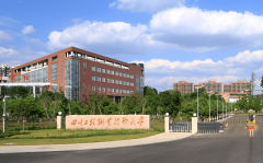 广西物理类电气工程及其从动化最低仅为438